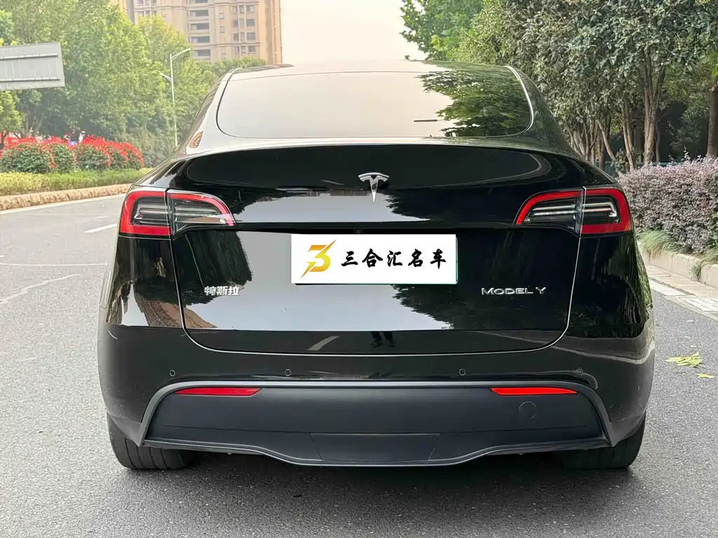 Tesla Model Y — миниатюра 9