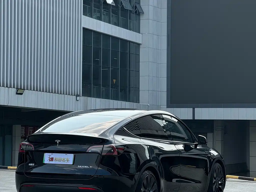 Tesla Model Y — миниатюра 9