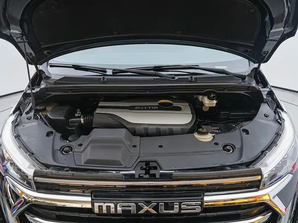 MAXUS G20 — миниатюра 10