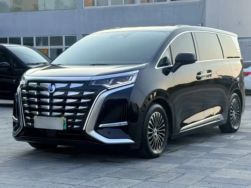 Denza Denza D9