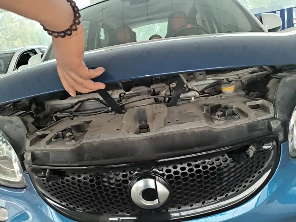 smart Smart Forfour — миниатюра 20