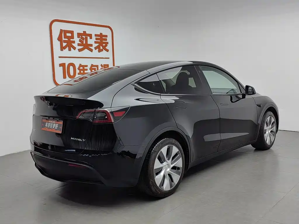Tesla Model Y — миниатюра 2