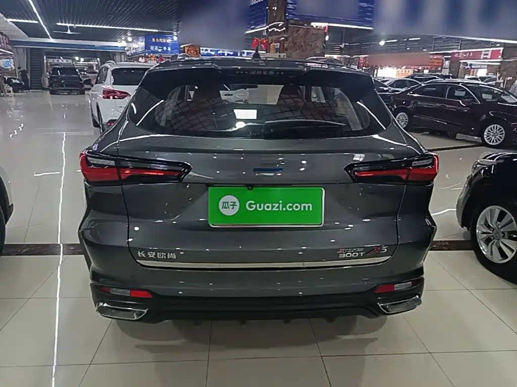 Oshan Oushang X5 — миниатюра 6