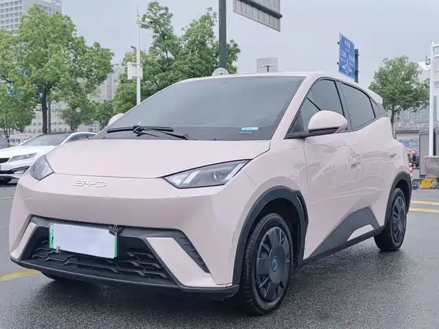2024 BYD Seagull