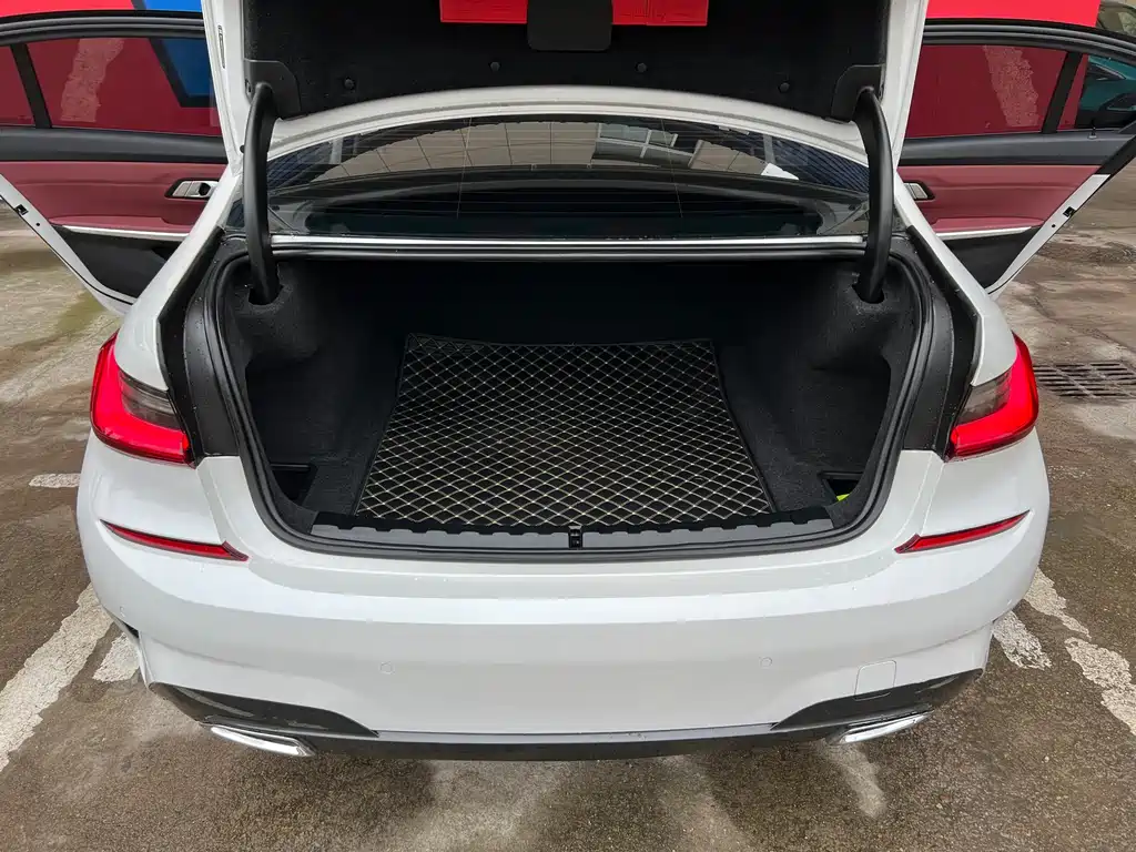 BMW 3 Series 3 2022 325Li M Sport