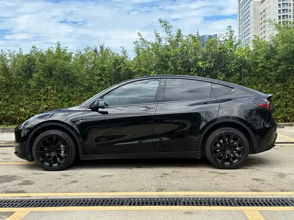 Tesla Model Y — фотографии объявления, Фото 16