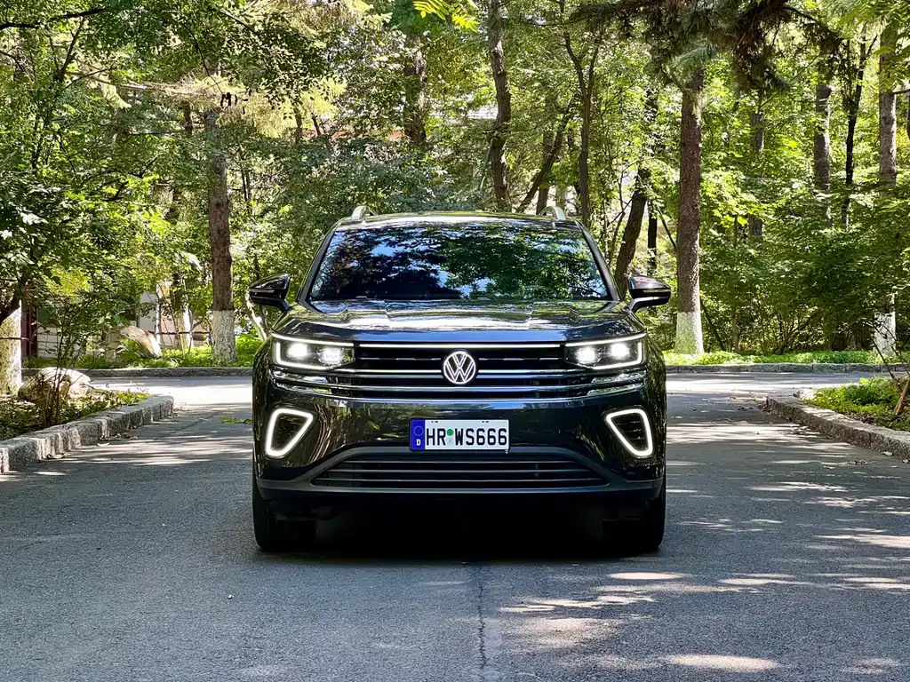Volkswagen Tavendor — миниатюра 3