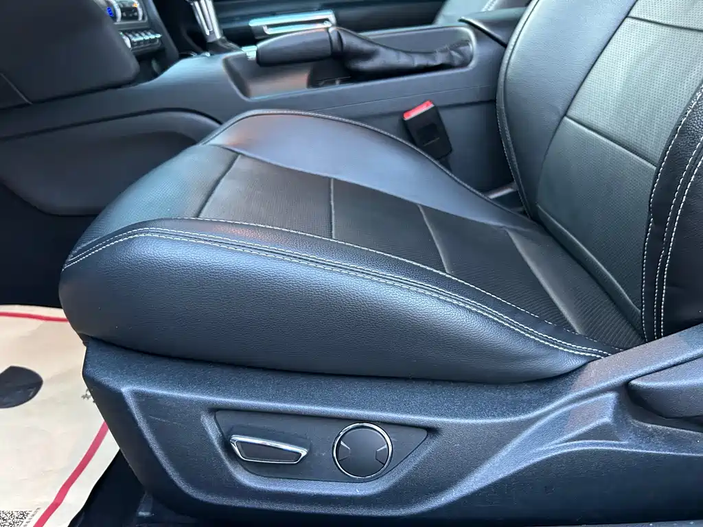 Ford Mustang — миниатюра 10