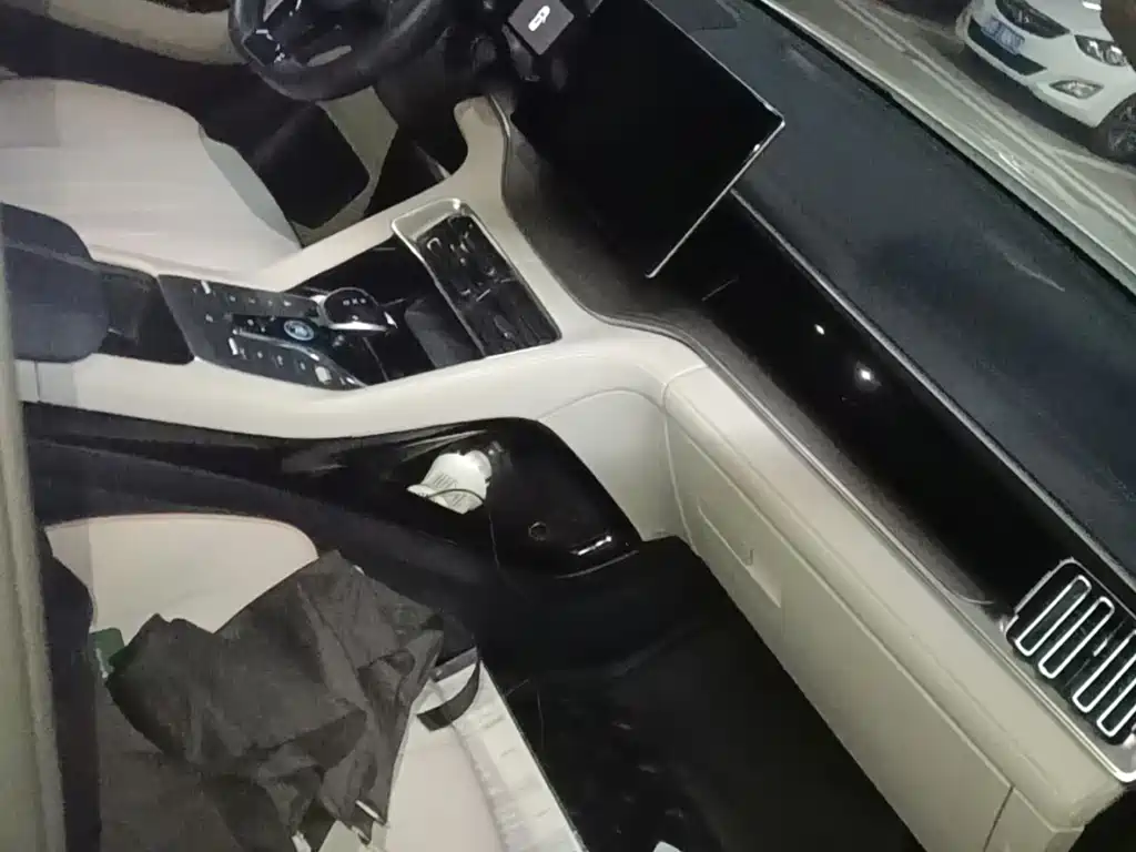BYD PLUS New Energy — миниатюра 6