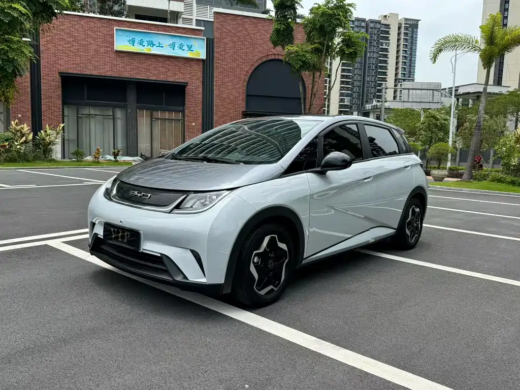 Byd Dolphin 2022
