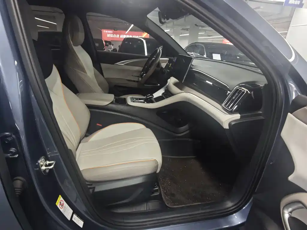BYD Pro New Energy — миниатюра 7