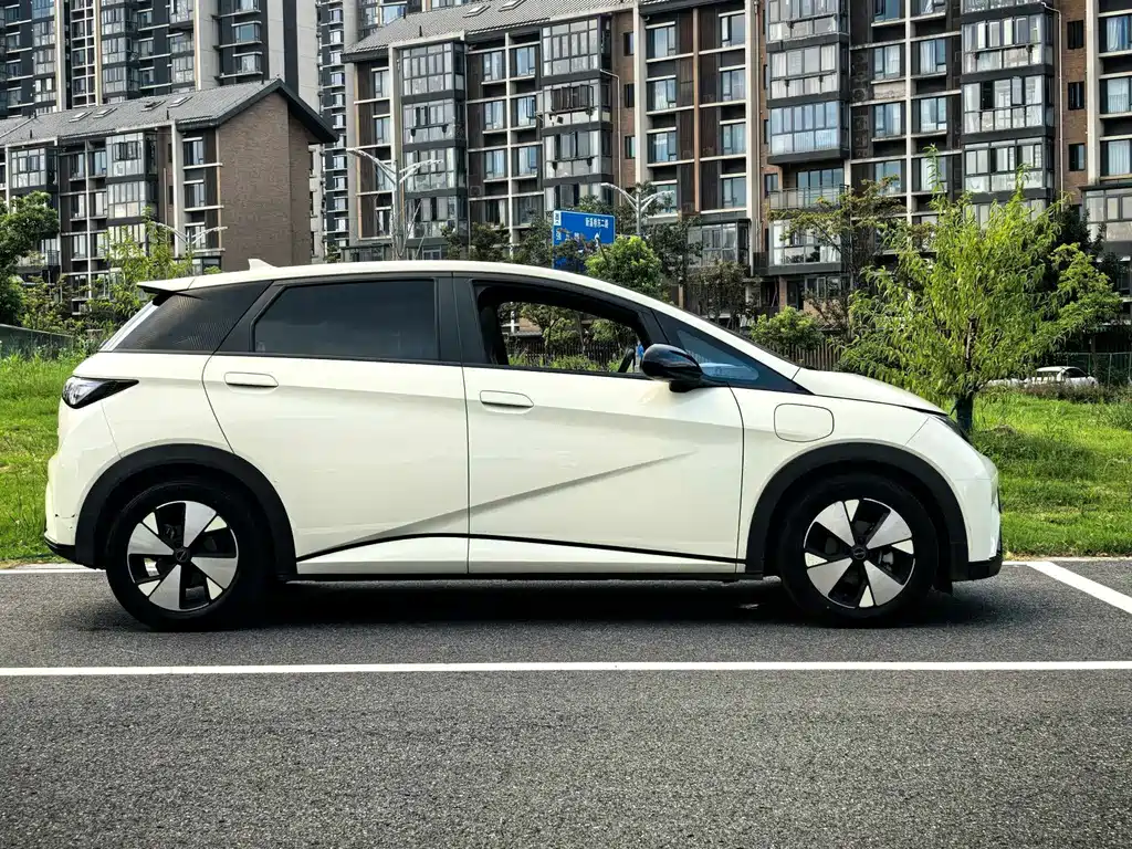 BYD Dolphin — миниатюра 19