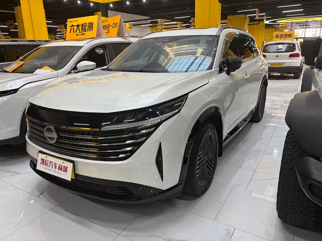 Nissan Teramont — миниатюра 2