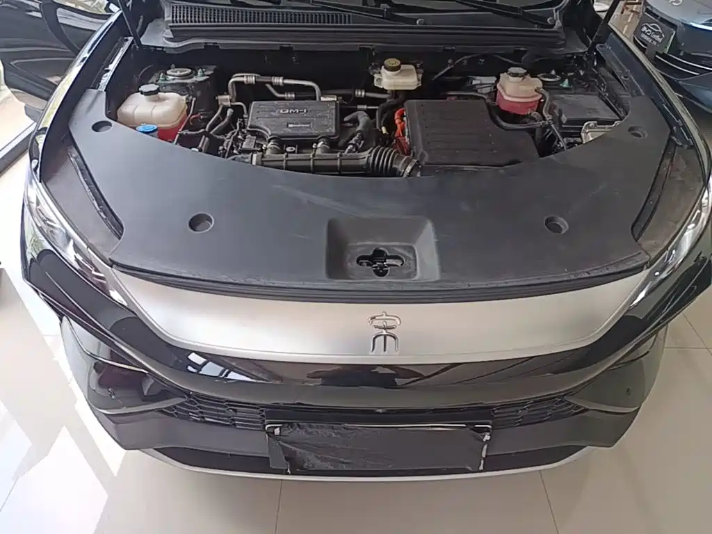 BYD Pro New Energy — миниатюра 20