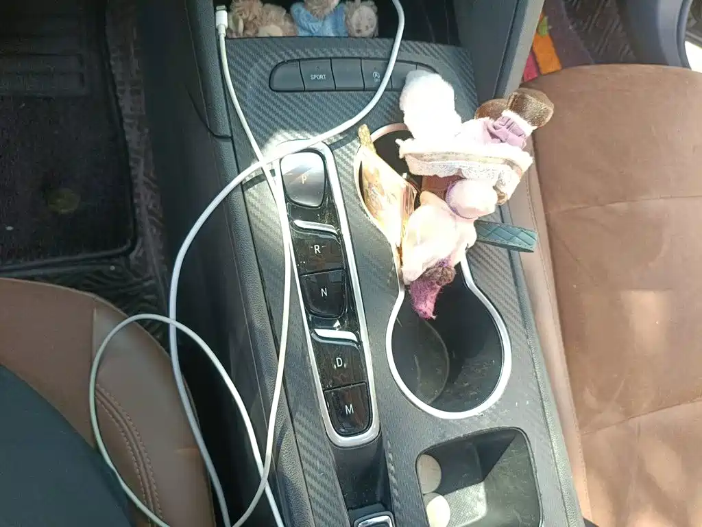 Buick Regal — миниатюра 10