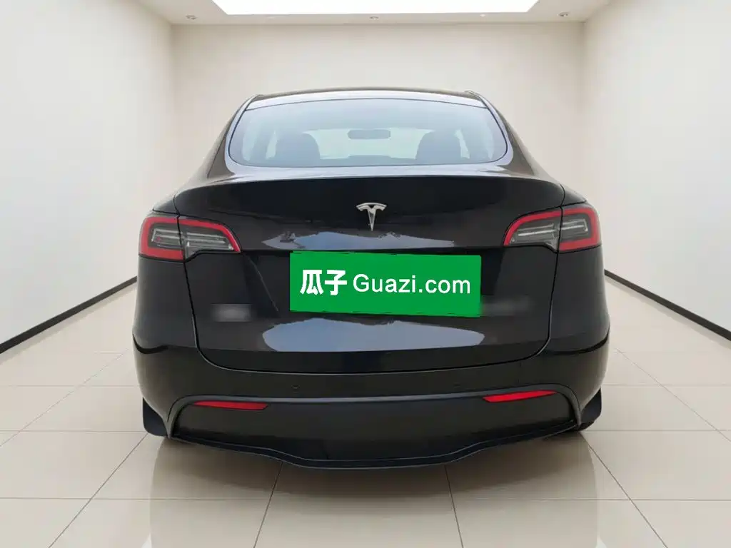 Tesla Model Y — миниатюра 5