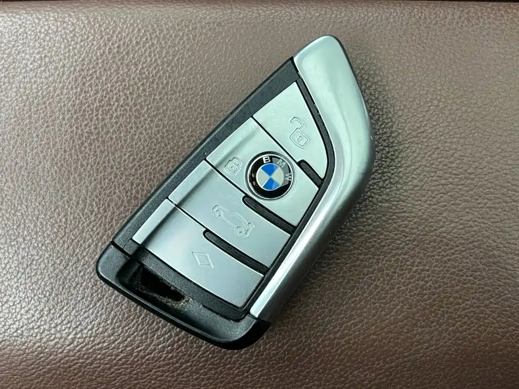 BMW X5 New Energy (Import) — миниатюра 18