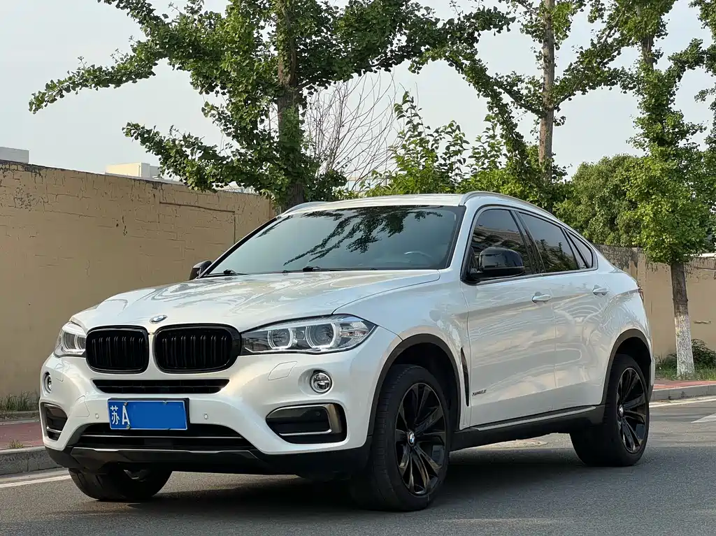 BMW X6 — миниатюра 3