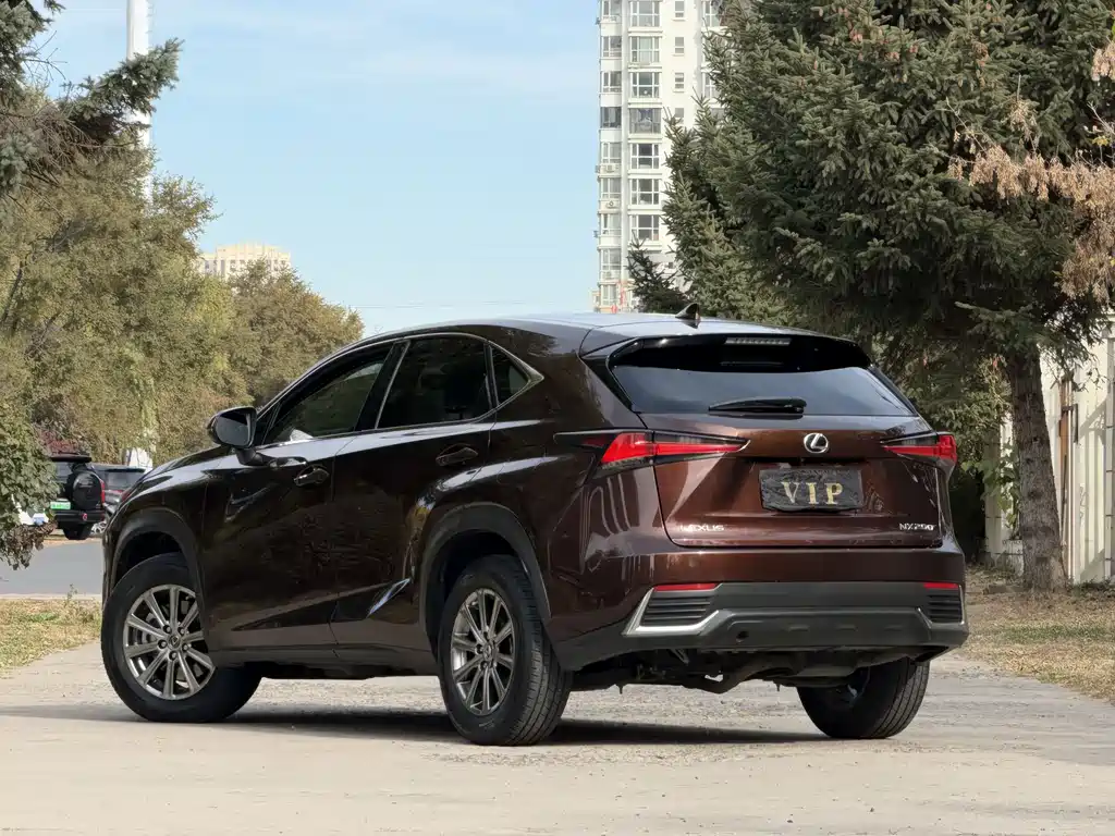 Lexus NX — миниатюра 7