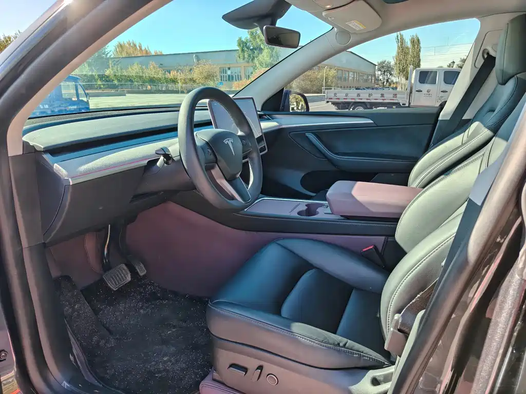 Tesla Model Y — миниатюра 8