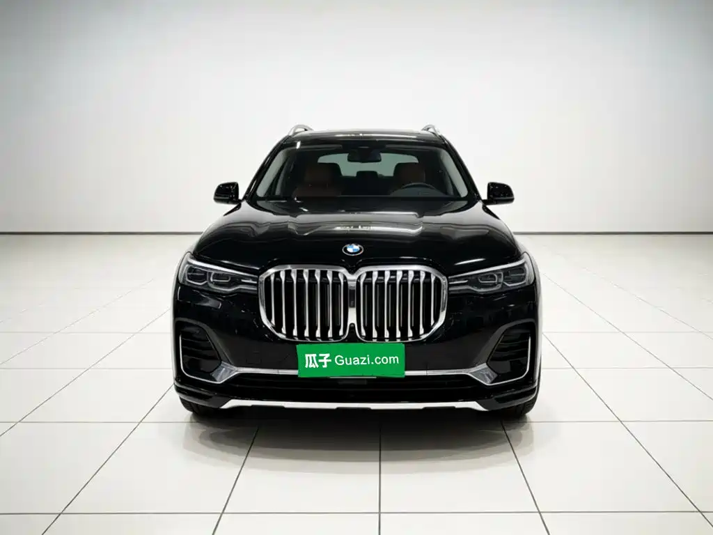 BMW X7 — миниатюра 2