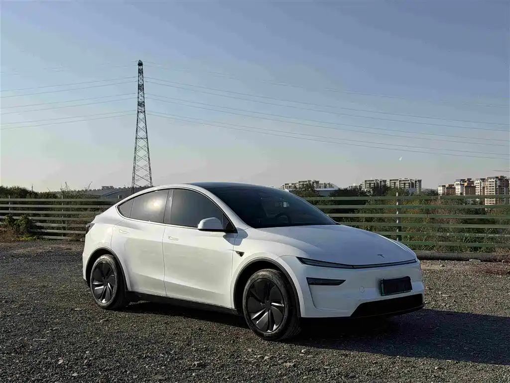 Tesla Model Y — миниатюра 3