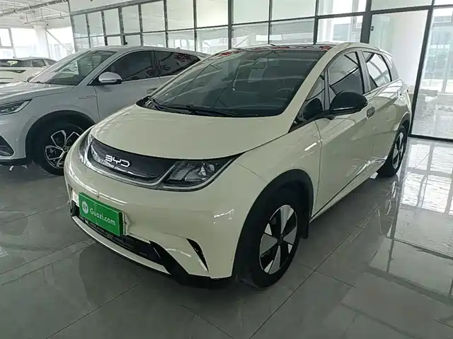2024 BYD Dolphin