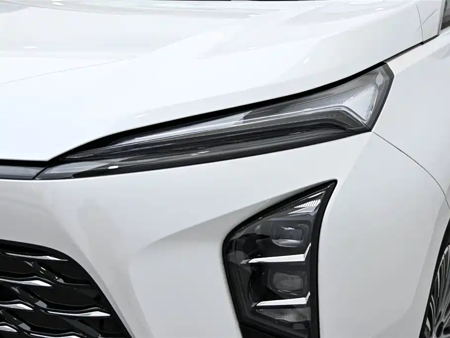 BUICK GL8 NEW ENERGY