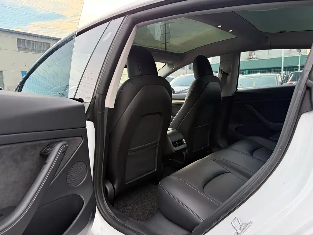 Tesla Model 3 — миниатюра 14