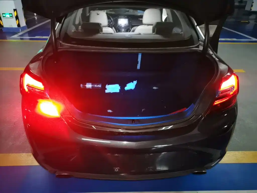 Buick Regal — миниатюра 19