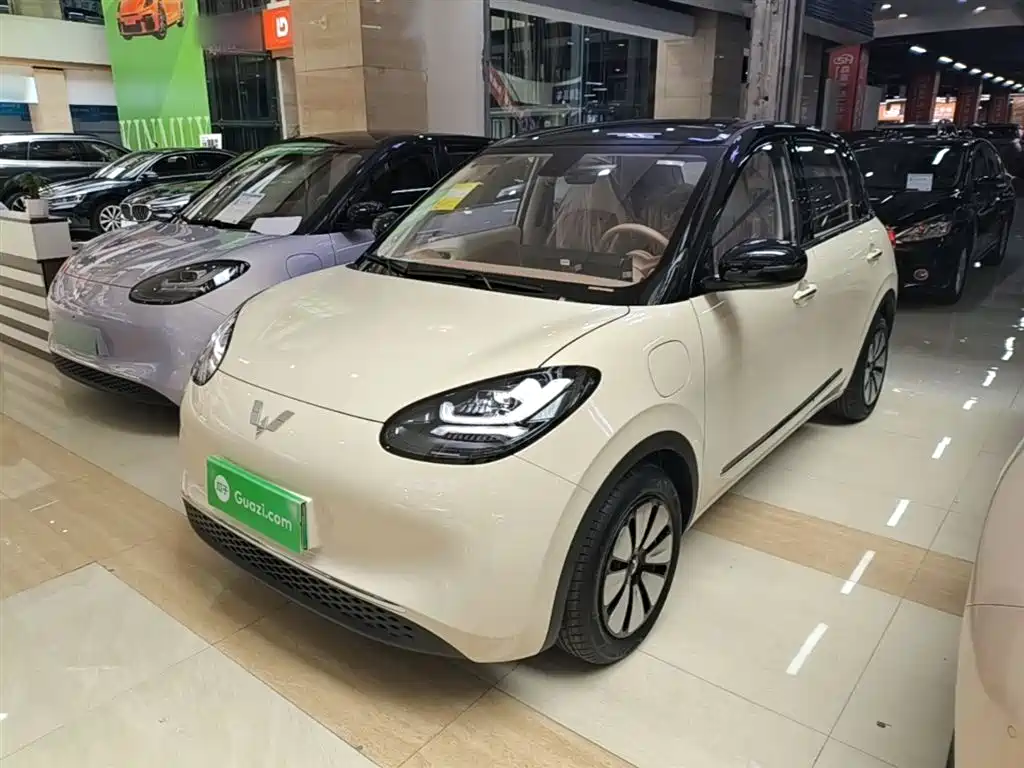 Wuling Binguo
