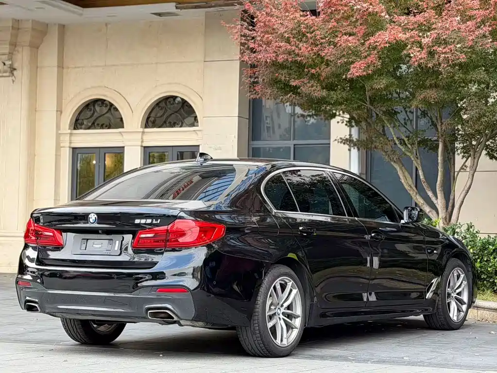 BMW 5 Series — миниатюра 10