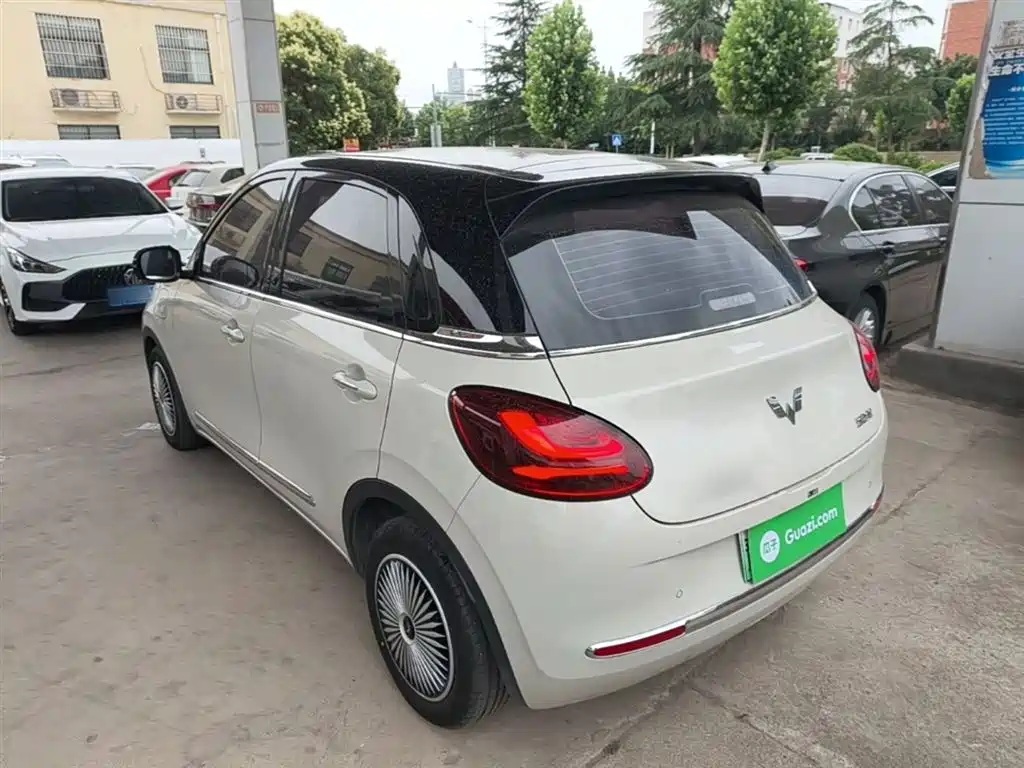 Wuling Binguo 2024 333km Enjoy