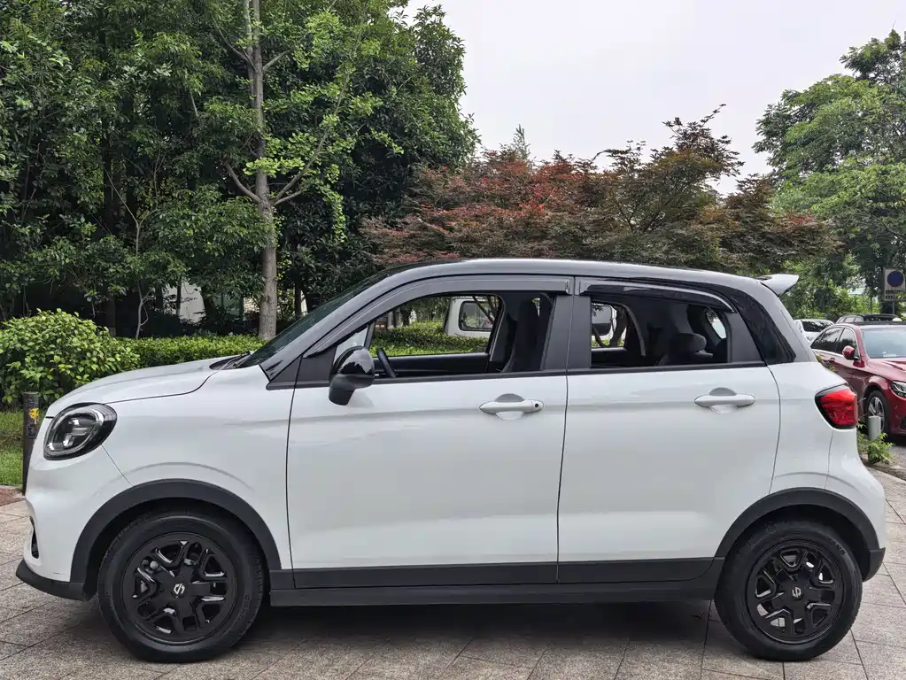 Leapmotor T03 2025 310