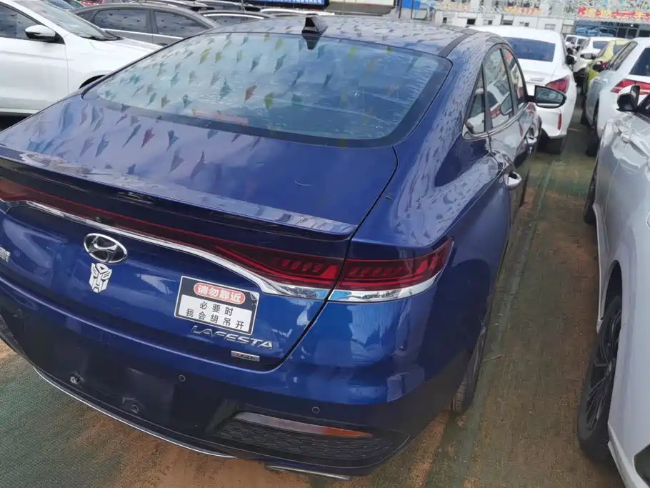 Hyundai Fista — миниатюра 2