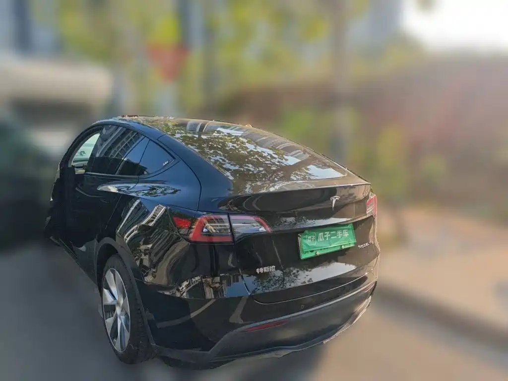 Tesla Model Y — миниатюра 4
