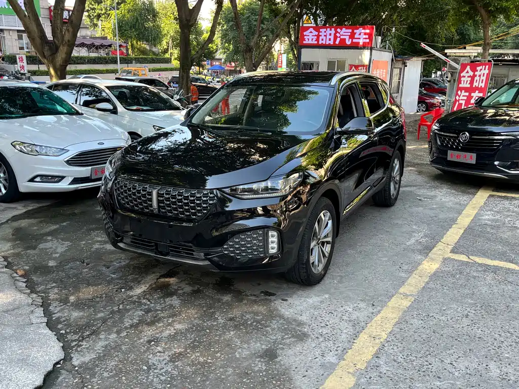 Wey Wey VV6 — миниатюра 3
