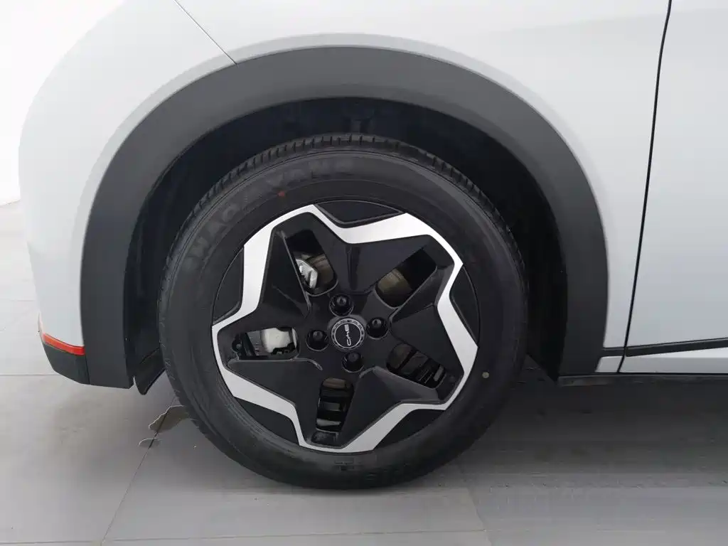 BYD Dolphin — миниатюра 17