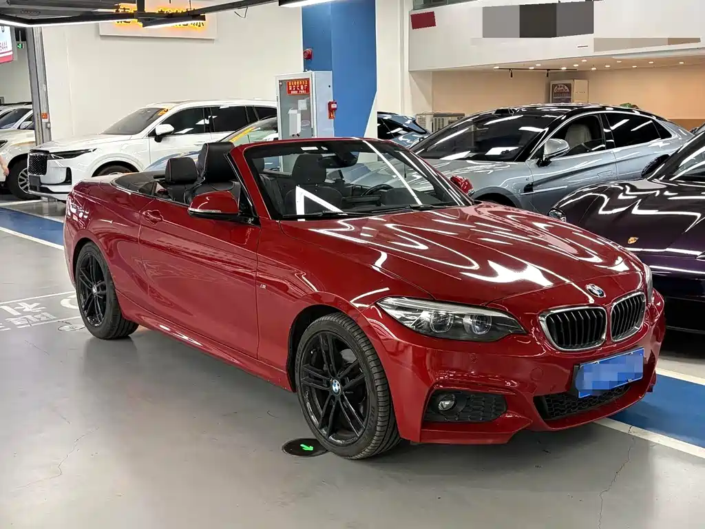BMW 2 Series 2 2018 225i M Sport