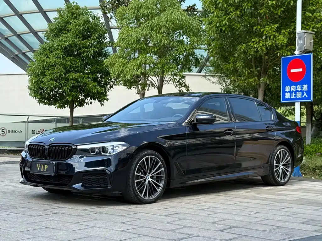 BMW 5 Series 2019