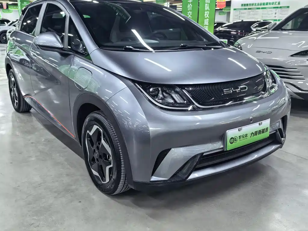 BYD Dolphin — миниатюра 3