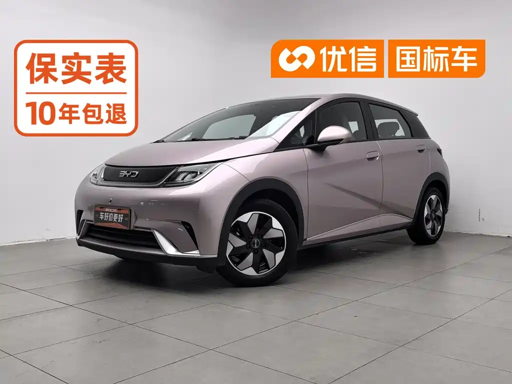 BYD Dolphin