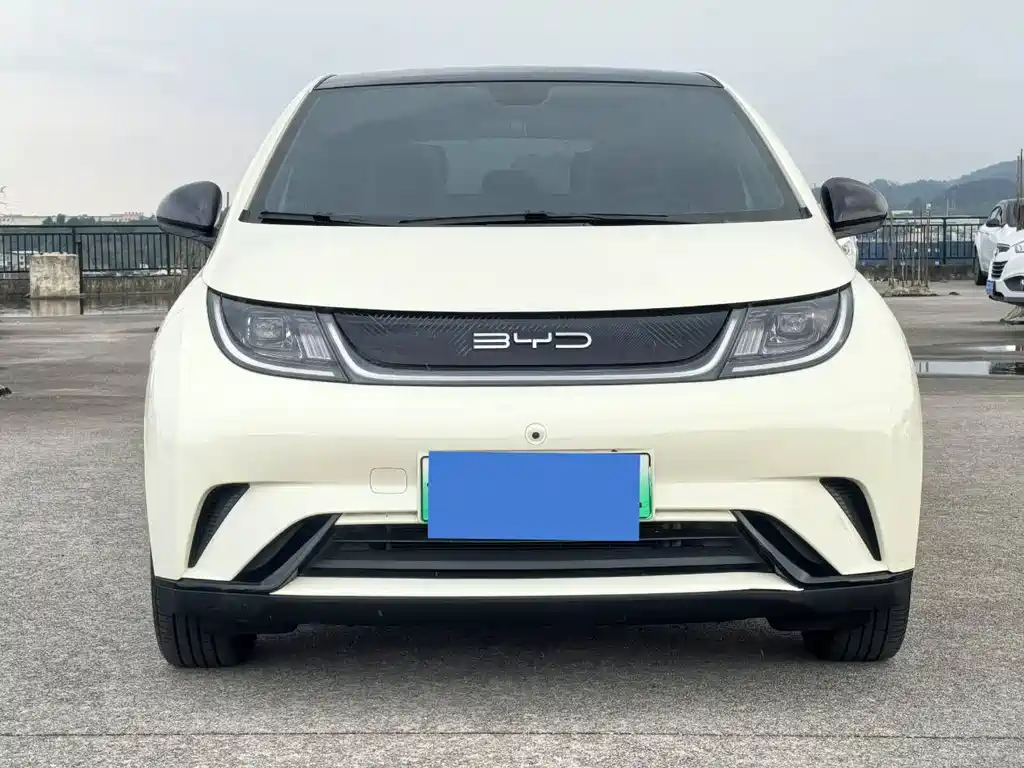 BYD Dolphin 2021 405km Fashion