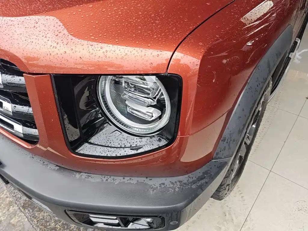 Haval Big Dog — миниатюра 24
