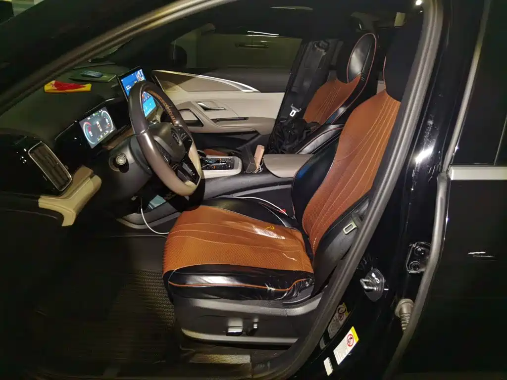 BYD Pro New Energy — миниатюра 16