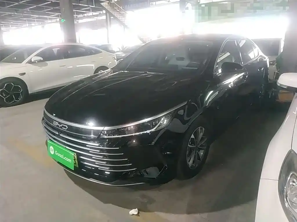 Byd Destroyer 05 2024