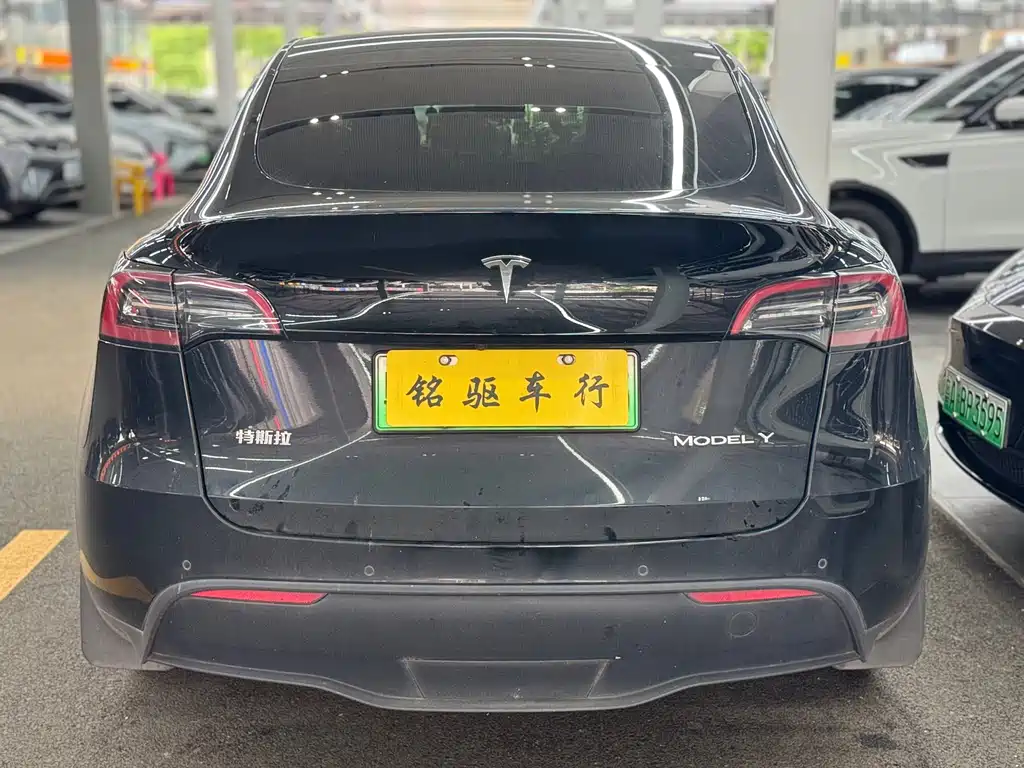 Tesla Model Y — миниатюра 5