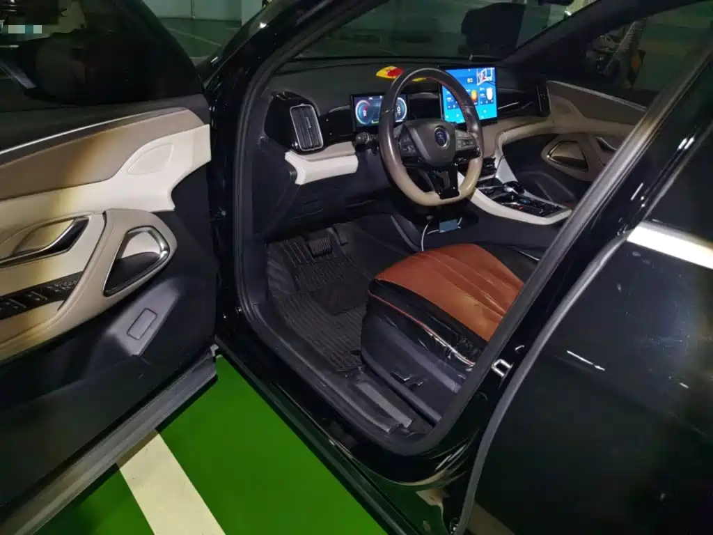 BYD Pro New Energy — миниатюра 17