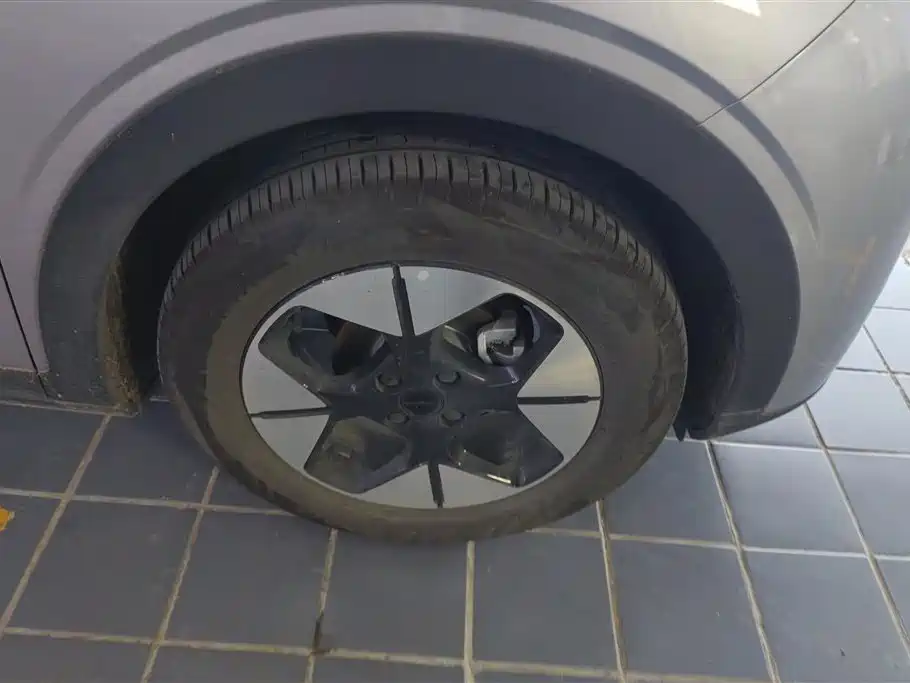 Geely Geome Xingyuan 2025 310km