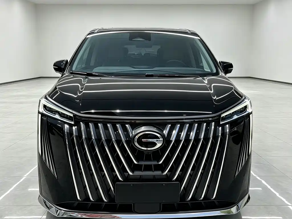 GAC Motor Trumpchi M8 — миниатюра 2